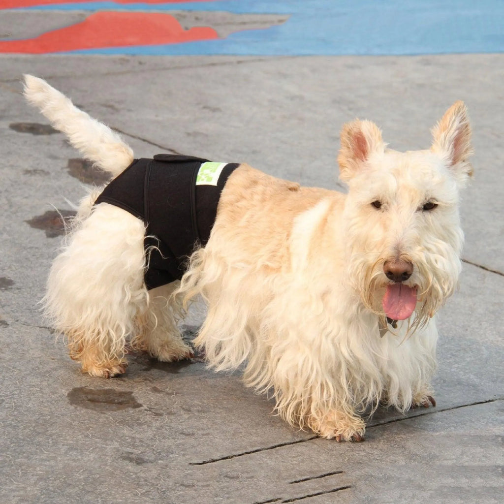 Healers Therapeutic Rear Body Wrap – Adjustable Post-Op & Calming Coverage (XS–XL)